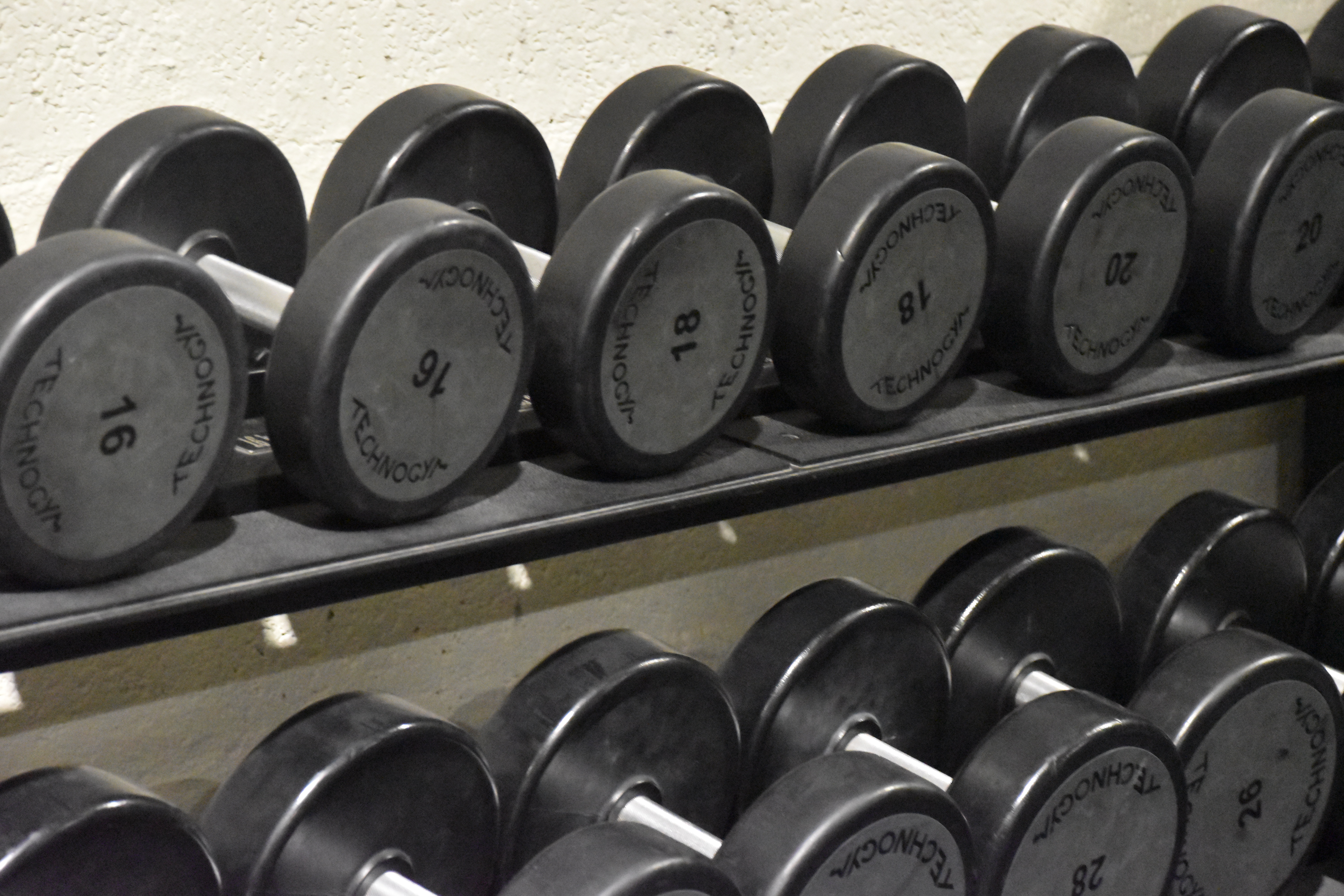 Musculation